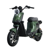 Электровелосипед SAIGE GT1 зеленый