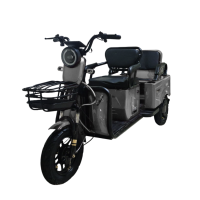 Электротрицикл Xchu Xdou Белый