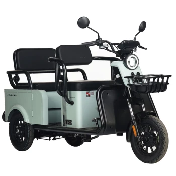 Электротрицикл Wanshida LC-F150 60V 1000Вт Зелёный